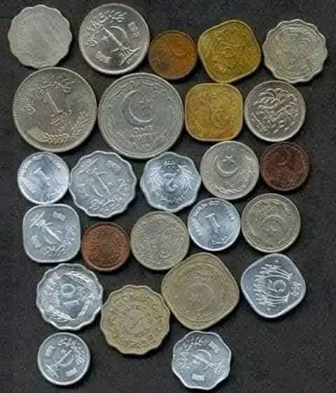 WhatsApp Image 2025-07-27 at 6.17.17 PM